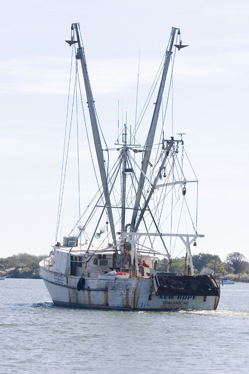 trawler8131