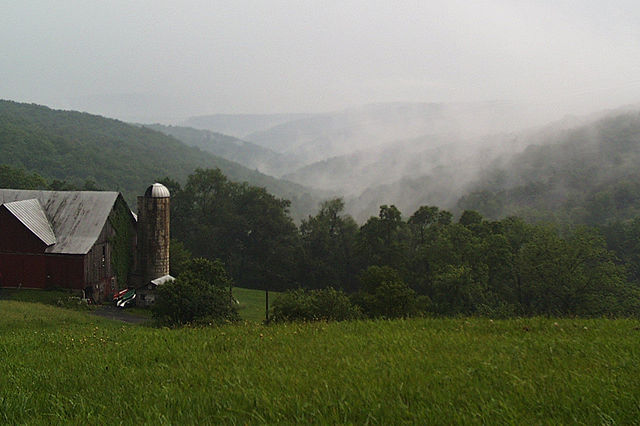 fog and rain