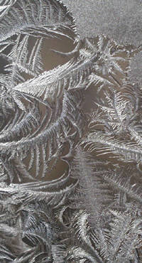 frost1