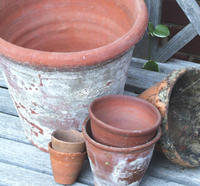 garden pots